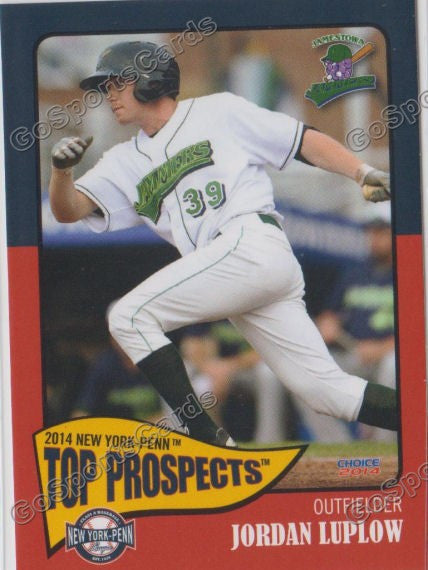 2014 New York Penn League Top Prospect NYPL Jordan Luplow