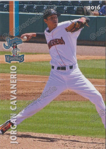 2016 Jupiter Hammerheads Jorgan Cavanerio