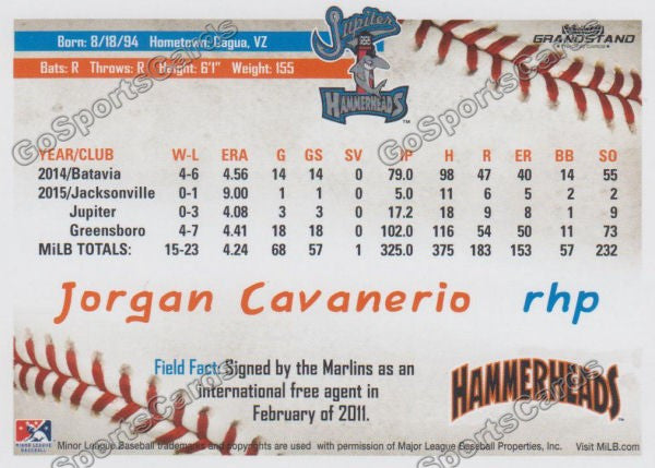 2016 Jupiter Hammerheads Jorgan Cavanerio  Back of Card