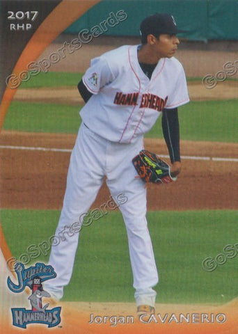 2017 Jupiter Hammerheads Jorgan Cavanerio