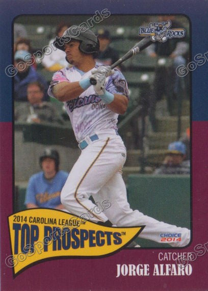 2014 Carolina League Top Prospect Jorge Alfaro