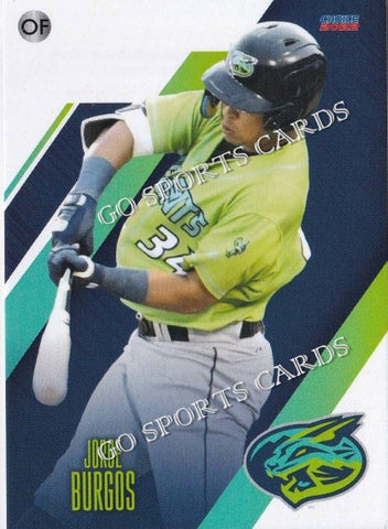 2022 Lynchburg Hillcats Jorge Burgos