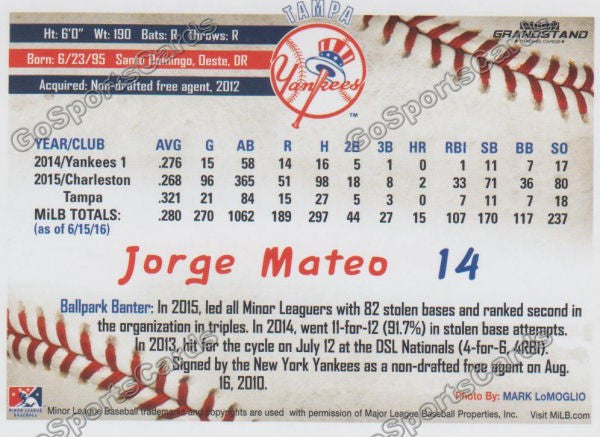 2016 Tampa Yankees Jorge Mateo Back of Card