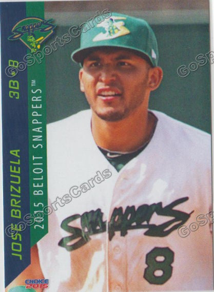 2015 Beloit Snappers Jose Brizuela