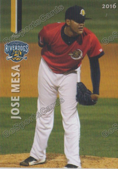 2016 Charleston RiverDogs Jose Mesa Jr