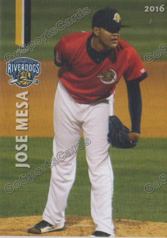 2016 Charleston RiverDogs Jose Mesa Jr