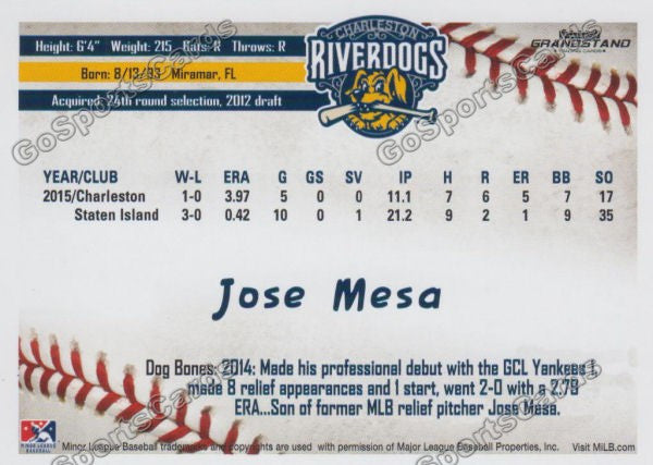 2016 Charleston RiverDogs Jose Mesa Jr Back of Card