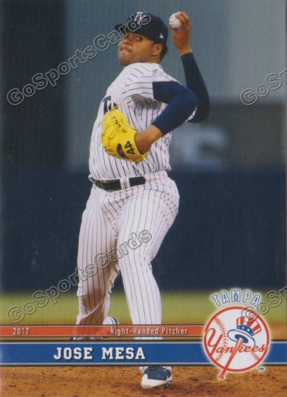 2017 Tampa Yankees Jose Mesa