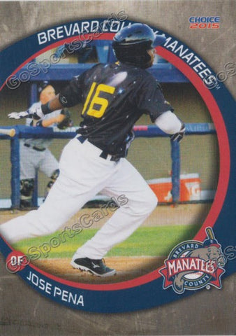 2015 Brevard County Manatees Jose Pena