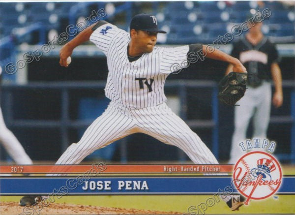 2017 Tampa Yankees Jose Pena