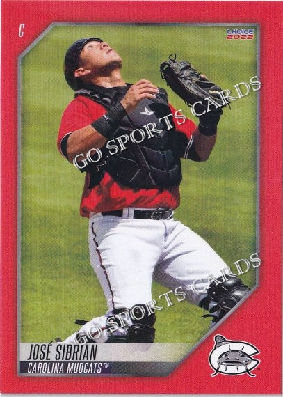 2022 Carolina Mudcats Jose Sibrian