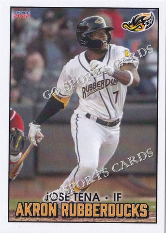 2022 Akron RubberDucks Jose Tena