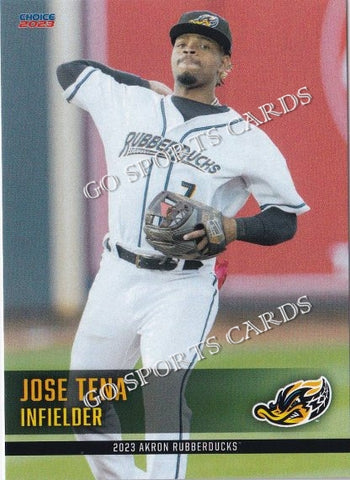 2023 Akron Rubberducks Jose Tena