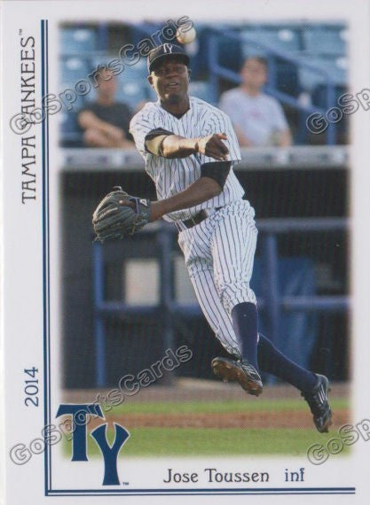 2014 Tampa Yankees Jose Toussen