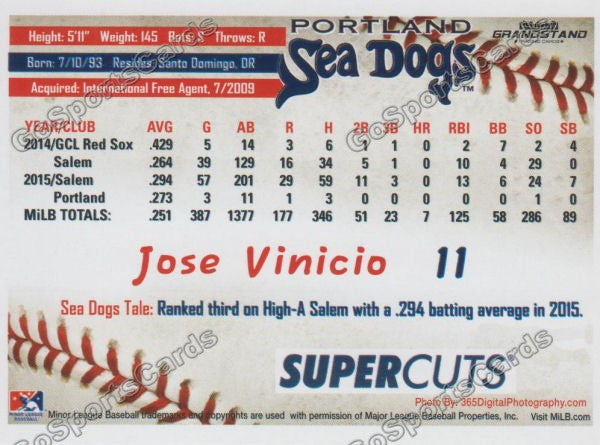 2016 Portland Sea Dogs Jose Vinicio Back of Card