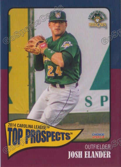 2014 Carolina League Top Prospect Josh Elander