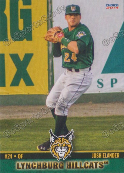 2014 Lynchburg HillCats Josh Elander