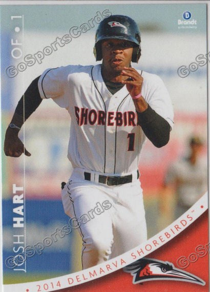2014 Delmarva Shorebirds Josh Hart