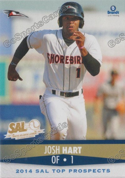 2014 South Atlantic League Top Prospect Josh Hart