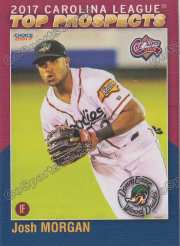 2017 Carolina League Top Prospect Josh Morgan