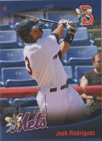 2015 Binghamton Mets Josh Rodriguez