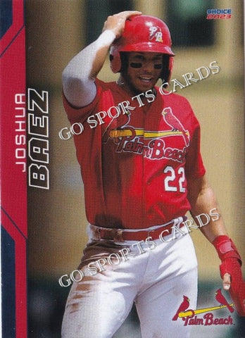 2023 Palm Beach Cardinals Joshua Baez
