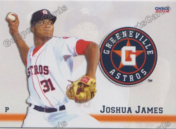 2014 Greeneville Astros Joshua James