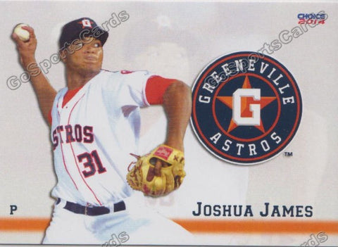2014 Greeneville Astros Joshua James