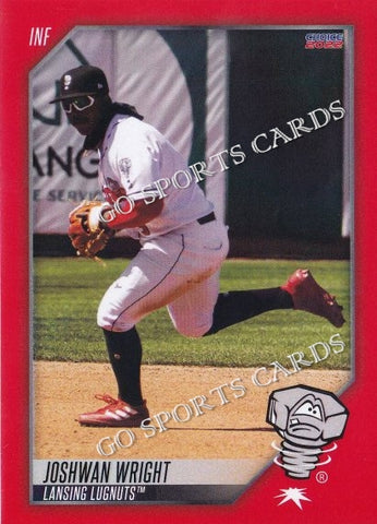 Craig Conklin 2022 Lansing Lugnuts baseball team card Hitting Coach