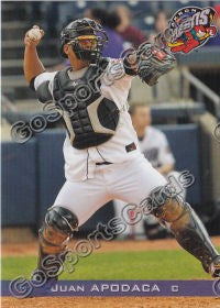 2011 Akron Aeros Juan Apodaca