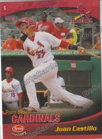 2013 Palm Beach Cardinals Juan Castillo