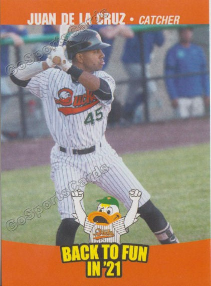 2021 Long Island Ducks Juan De La Cruz