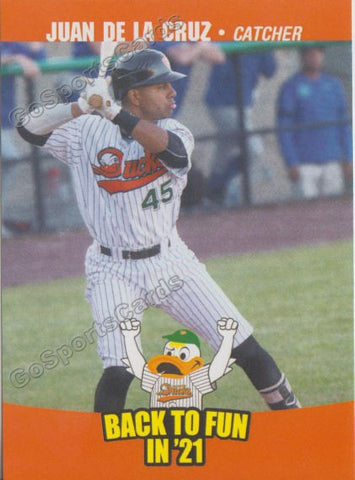 2021 Long Island Ducks Juan De La Cruz