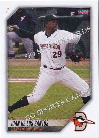 2022 Delmarva Shorebirds Juan De Los Santos
