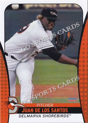 2023 Delmarva Shorebirds Juan De Los Santos