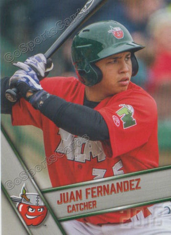2018 Fort Wayne TinCaps Juan Fernandez