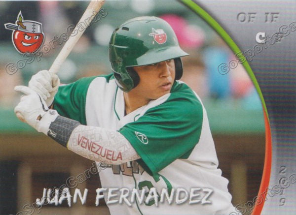 2019 Fort Wayne TinCaps Juan Fernandez