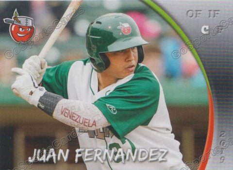 2019 Fort Wayne TinCaps Juan Fernandez