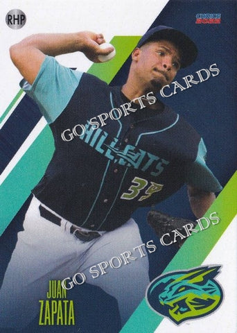 2022 Lynchburg Hillcats Juan Zapata