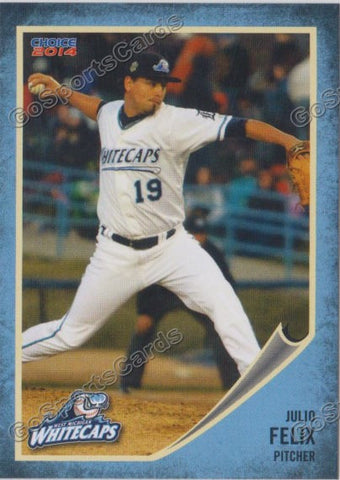 2014 West Michigan Whitecaps Julio Felix