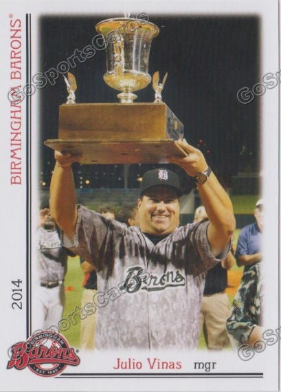 2014 Birmingham Barons Julio Vinas
