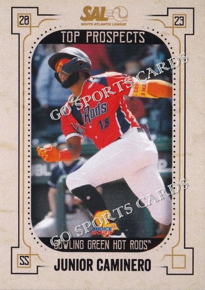 2023 South Atlantic League SAL Top Prospects Junior Caminero