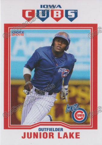 2015 Iowa Cubs Junior Lake