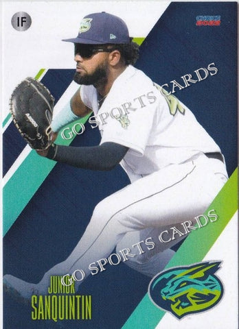 2022 Lynchburg Hillcats Junior Sanquintin