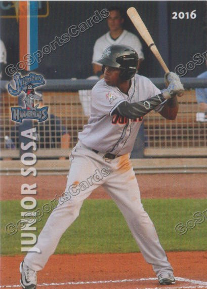 2016 Jupiter Hammerheads Junior Sosa