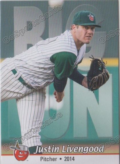 2014 Fort Wayne TinCaps Justin Livengood