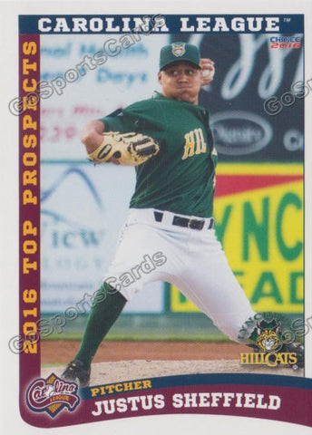2016 Carolina League Top Prospect Justus Sheffield