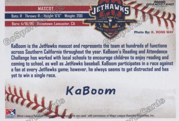 2016 Lancaster JetHawks KaBoom Mascot Back of Card