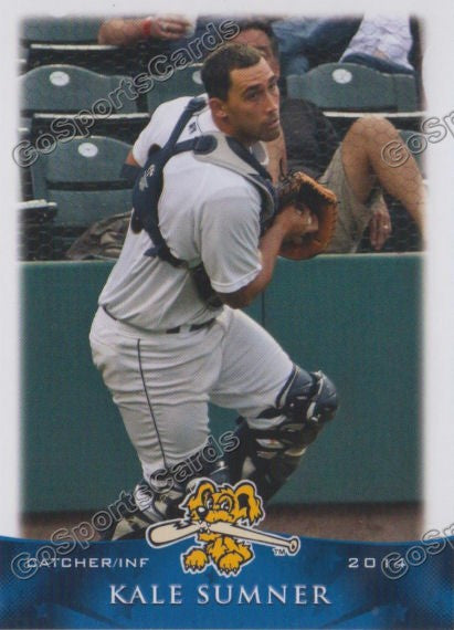 2014 Charleston Riverdogs Kale Sumner