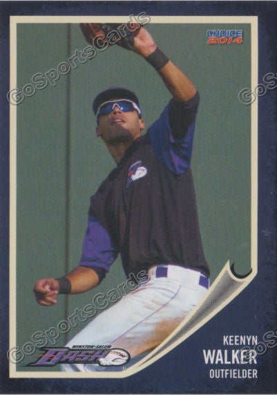 2014 Winston Salem Dash Keenyn Walker